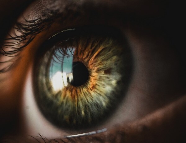 Diagnostika z dúhovky oka