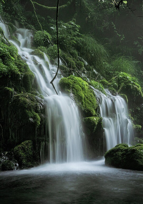 Autopatia - pramenitá voda